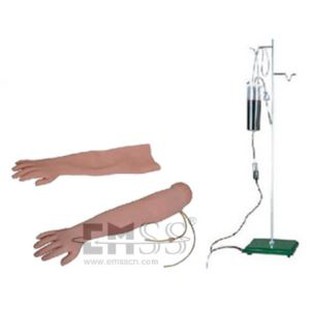 Model Venipunture i braç d'injecció intramuscular